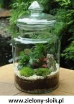 ile trwa zastrzeżenie znaku towarowego w&nbsp;Polsce