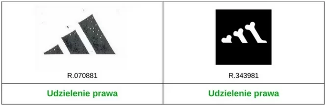Badanie znaku towarowego przed&nbsp;rejestracją.